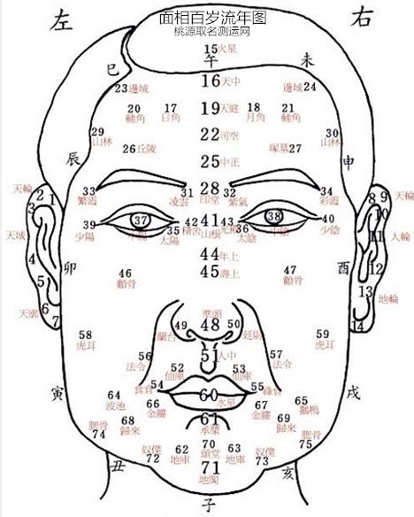 面相 歲數